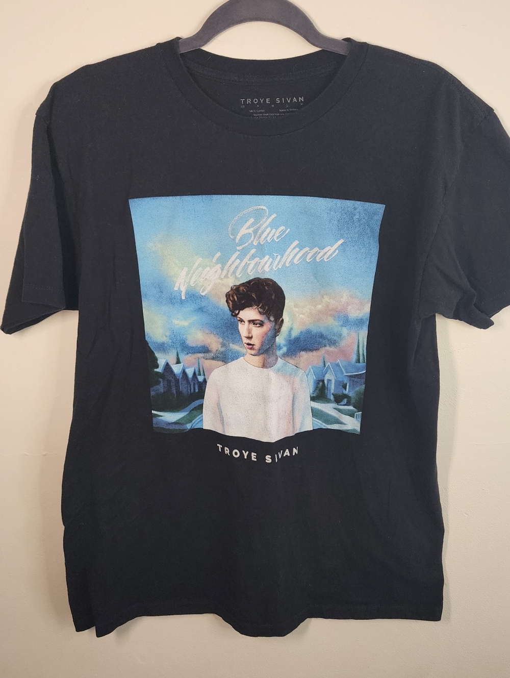 Troye Sivan Blue Neighborhood Graphic T-Shirt Print Size Large Music Band Merch